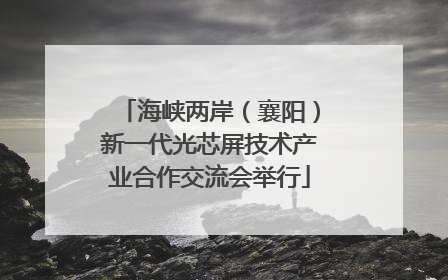 海峡两岸（襄阳）新一代光芯屏技术产业合作交流会举行