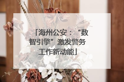 海州公安：“数智引擎”激发警务工作新动能