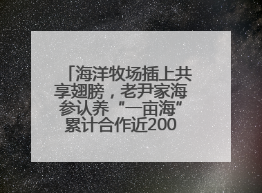 海洋牧场插上共享翅膀，老尹家海参认养“一亩海”累计合作近200企业客户