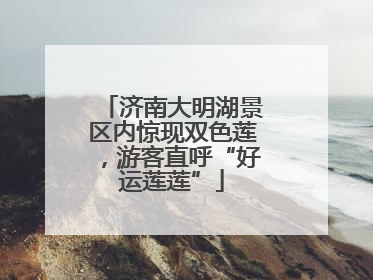 济南大明湖景区内惊现双色莲，游客直呼“好运莲莲”