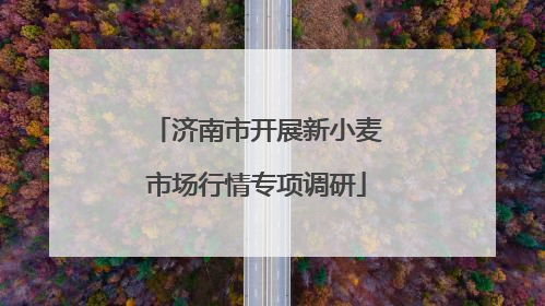 济南市开展新小麦市场行情专项调研