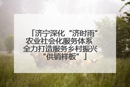 济宁深化“济时雨”农业社会化服务体系 全力打造服务乡村振兴“供销样板”
