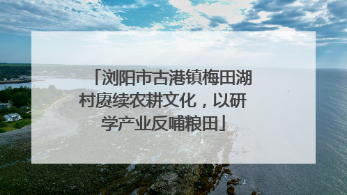 浏阳市古港镇梅田湖村赓续农耕文化，以研学产业反哺粮田
