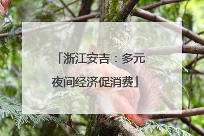 浙江安吉：多元夜间经济促消费