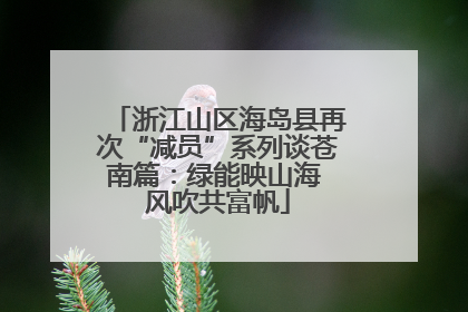 浙江山区海岛县再次“减员”系列谈苍南篇：绿能映山海 风吹共富帆