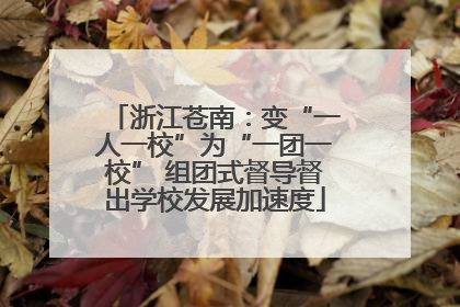 浙江苍南：变“一人一校”为“一团一校” 组团式督导督出学校发展加速度