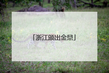 浙江颁出金鼎