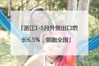 浙江1-5月外贸出口增长6.5%，领跑全国