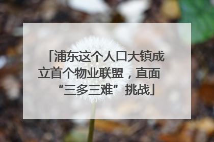 浦东这个人口大镇成立首个物业联盟，直面“三多三难”挑战
