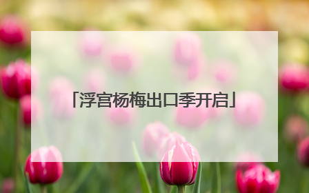 浮宫杨梅出口季开启