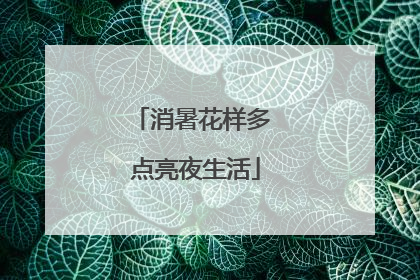 消暑花样多 点亮夜生活
