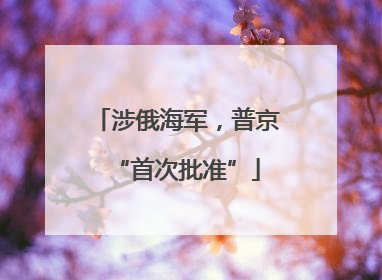 涉俄海军，普京“首次批准”