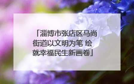 淄博市张店区马尚街道以文明为笔 绘就幸福民生新画卷