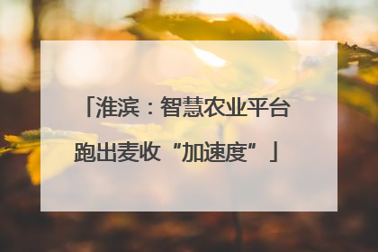 淮滨：智慧农业平台跑出麦收“加速度”