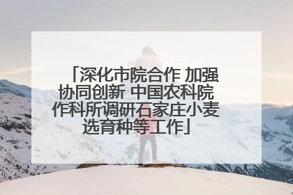 深化市院合作 加强协同创新 中国农科院作科所调研石家庄小麦选育种等工作