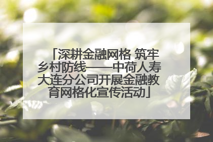 深耕金融网格 筑牢乡村防线——中荷人寿大连分公司开展金融教育网格化宣传活动