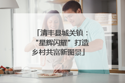 清丰县城关镇：“星辉闪耀”打造乡村共富新图景