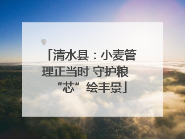 清水县：小麦管理正当时 守护粮“芯”绘丰景