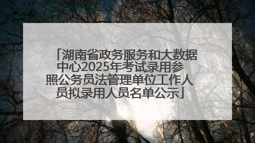 湖南省政务服务和大数据中心2025年考试录用参照公务员法管理单位工作人员拟录用人员名单公示