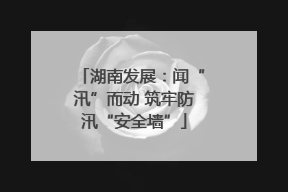 湖南发展：闻“汛”而动 筑牢防汛“安全墙”