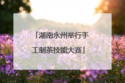 湖南永州举行手工制茶技能大赛