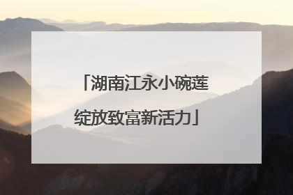 湖南江永小碗莲绽放致富新活力