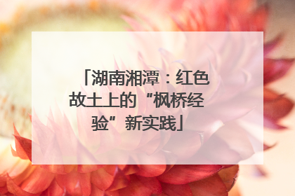 湖南湘潭：红色故土上的“枫桥经验”新实践