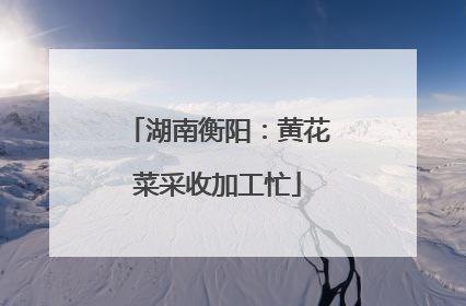 湖南衡阳：黄花菜采收加工忙
