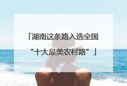 湖南这条路入选全国“十大最美农村路”