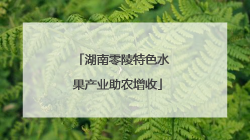 湖南零陵特色水果产业助农增收