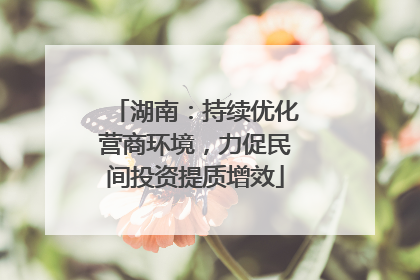 湖南：持续优化营商环境，力促民间投资提质增效