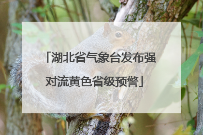 湖北省气象台发布强对流黄色省级预警
