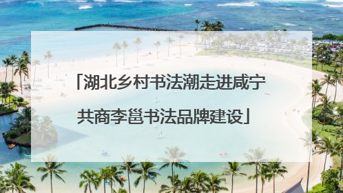 湖北乡村书法潮走进咸宁 共商李邕书法品牌建设