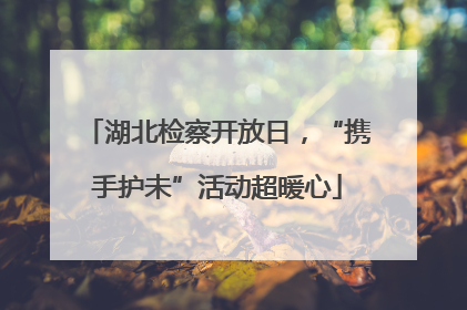 湖北检察开放日，“携手护未”活动超暖心