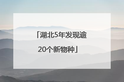 湖北5年发现逾20个新物种