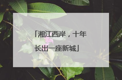 湘江西岸，十年长出一座新城