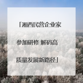 湘西民营企业家参加研修 解码高质量发展新路径