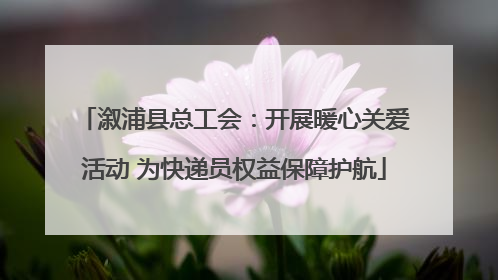 溆浦县总工会：开展暖心关爱活动 为快递员权益保障护航