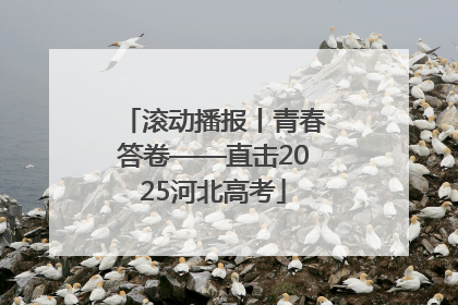 滚动播报丨青春答卷——直击2025河北高考