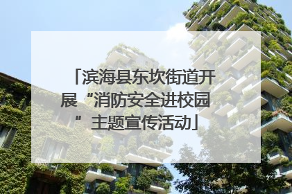 滨海县东坎街道开展“消防安全进校园”主题宣传活动