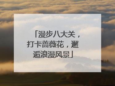 漫步八大关，打卡蔷薇花，邂逅浪漫风景