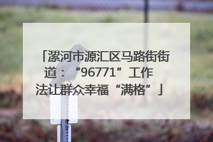 漯河市源汇区马路街街道：“96771”工作法让群众幸福“满格”