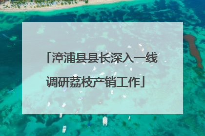 漳浦县县长深入一线调研荔枝产销工作