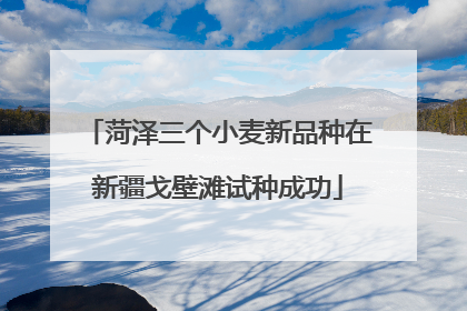 菏泽三个小麦新品种在新疆戈壁滩试种成功