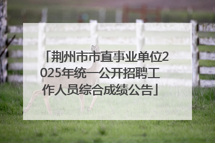 荆州市市直事业单位2025年统一公开招聘工作人员综合成绩公告