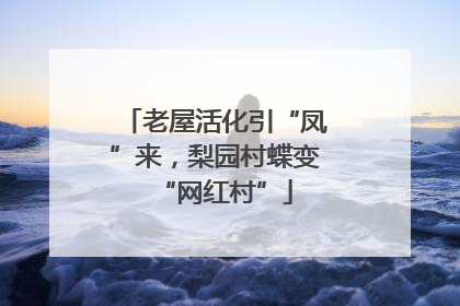 老屋活化引“凤”来，梨园村蝶变“网红村”