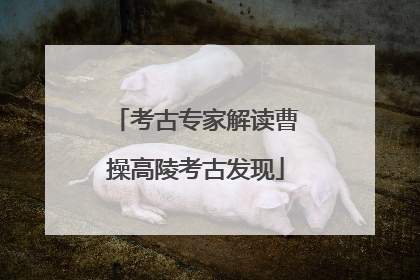 考古专家解读曹操高陵考古发现
