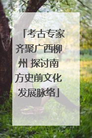 考古专家齐聚广西柳州 探讨南方史前文化发展脉络