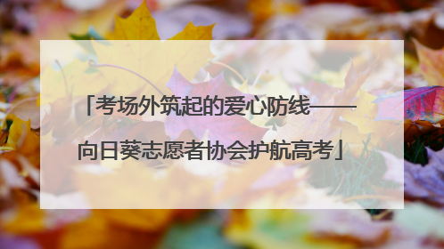 考场外筑起的爱心防线——向日葵志愿者协会护航高考