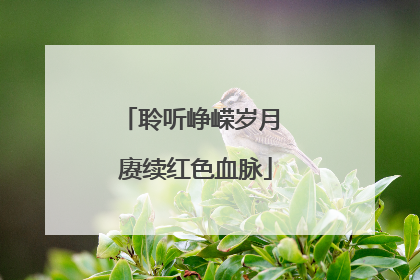 聆听峥嵘岁月 赓续红色血脉